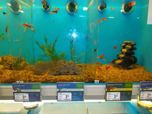 Pet Supply Store «PetSmart», reviews and photos, 3351 Jefferson Davis Hwy, Alexandria, VA 22305, USA