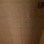 Photo n°1 de l'avis de Sandor. fait le 04/08/2019 à 15:57 sur le  Bar La Terrazza Mascagni à Livorno