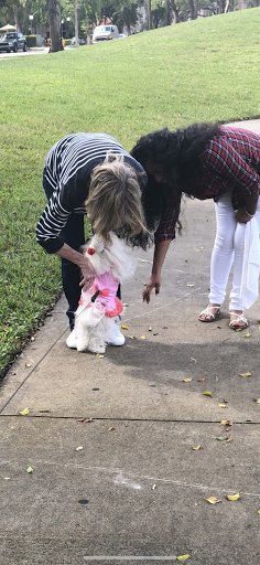 Park «Country Village Park», reviews and photos, 6550 NW 188th Terrace, Hialeah, FL 33015, USA