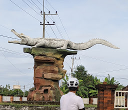 Taman Desa Kedungsari, Kemlagi, Mojokerto photo
