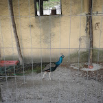 Photo n°3 de l'avis de Paola.e fait le 17/07/2018 à 04:54 sur le  Agriturismo Orsaiola à Urbania