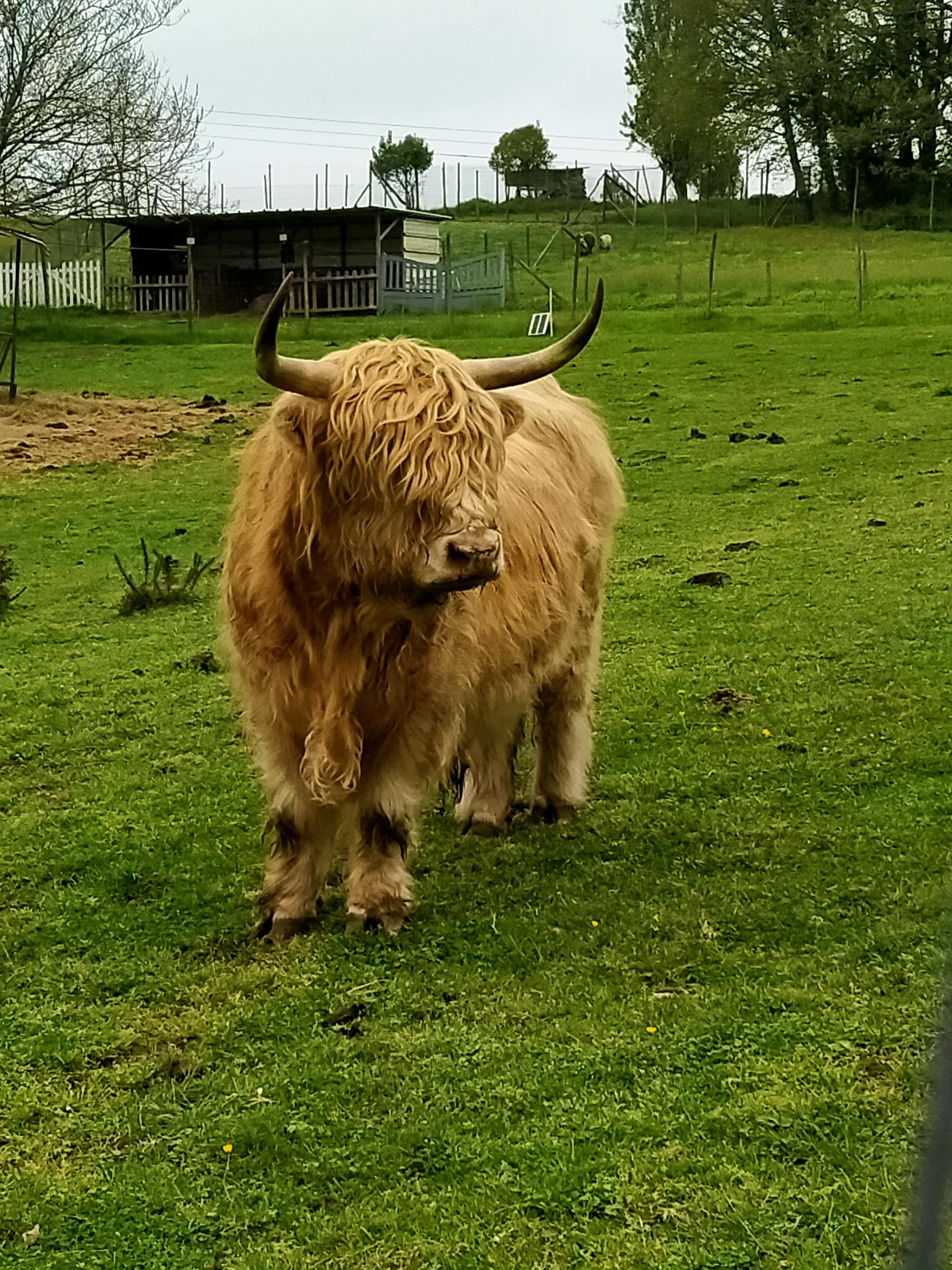 Photo n° 1 de l'avis de Marie-Annick.E fait le 22/04/2022 à 16:37