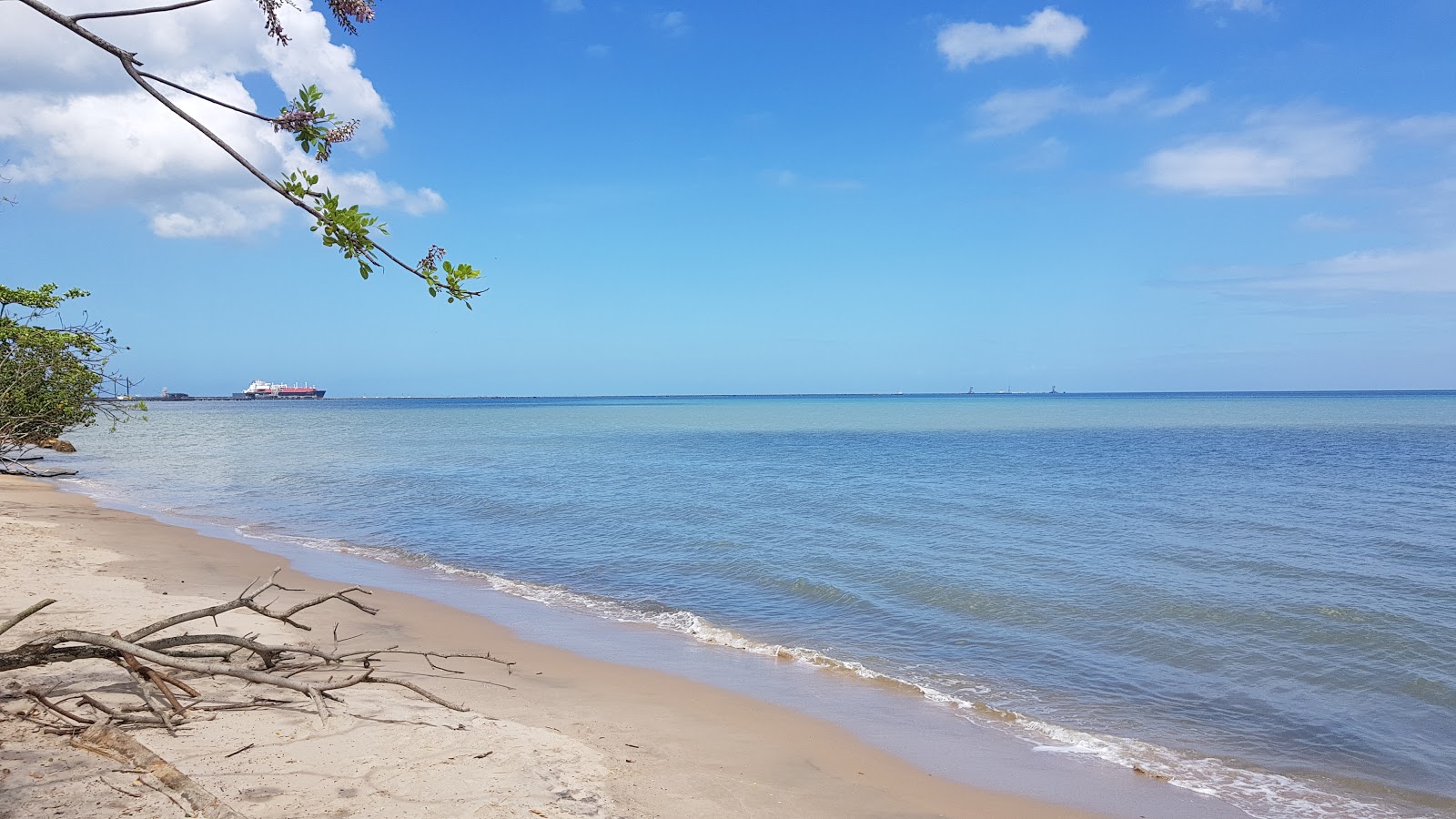 Clifton Hill beach'in fotoğrafı düz ve uzun ile birlikte