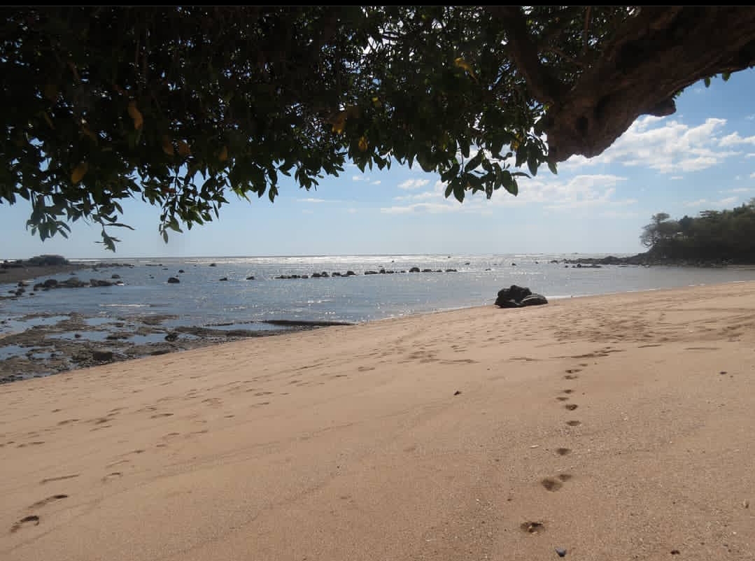 Fotografie cu El Flor Beach zonele de facilități