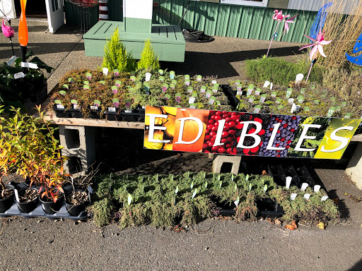 Winery «Westport Winery Garden Resort», reviews and photos, 1 S Arbor Rd, Aberdeen, WA 98520, USA