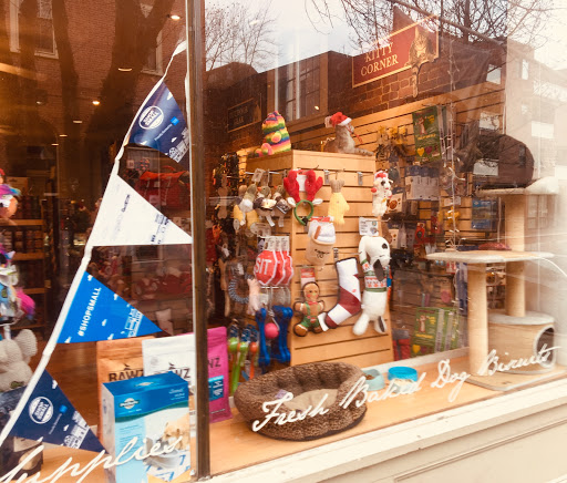 Pet Supply Store «New England Dog Biscuit Company», reviews and photos, 7 Central St, Salem, MA 01970, USA