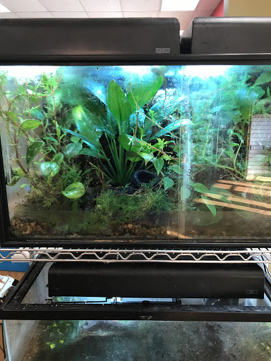 Pet Store «Zookeeper Exotics», reviews and photos, 9012 Research Blvd, Austin, TX 78758, USA
