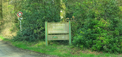 Forêt de Loudéac - Pilori à Loudéac