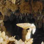 Photo n° 4 de l'avis de Pauline.8 fait le 22/12/2022 à 16:59 pour Grotte du Grand Roc à Les Eyzies