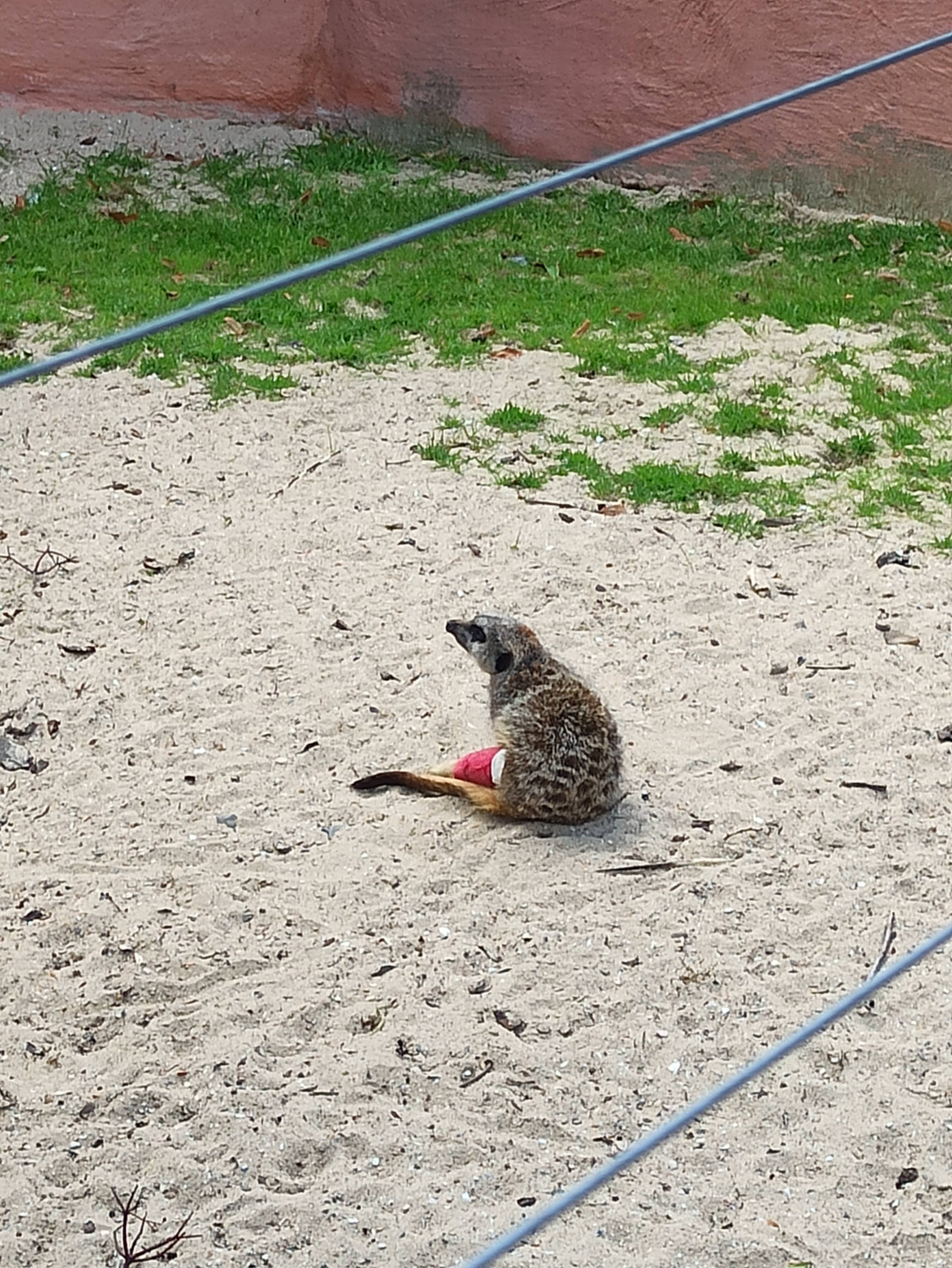 Photo n° 5 de l'avis de Audrey.r fait le 07/09/2020 à 12:19