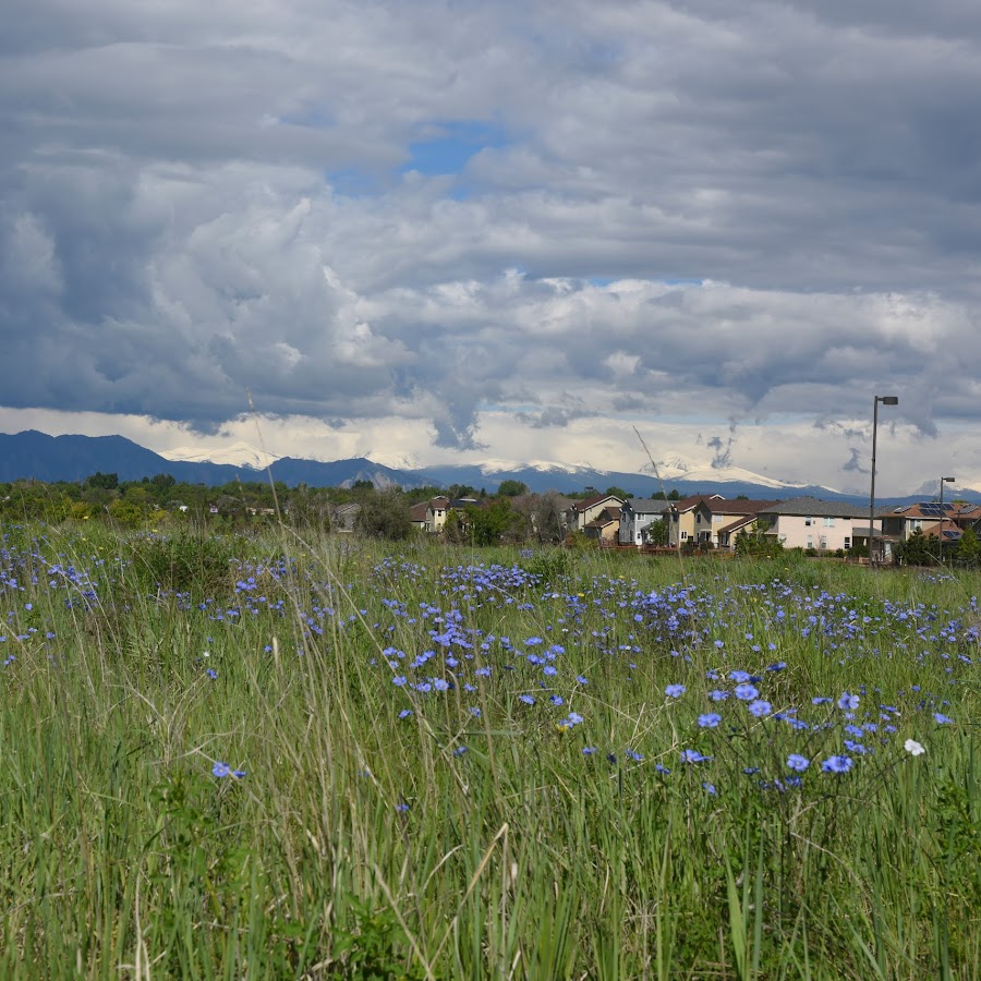 Broomfield Commons Open Space