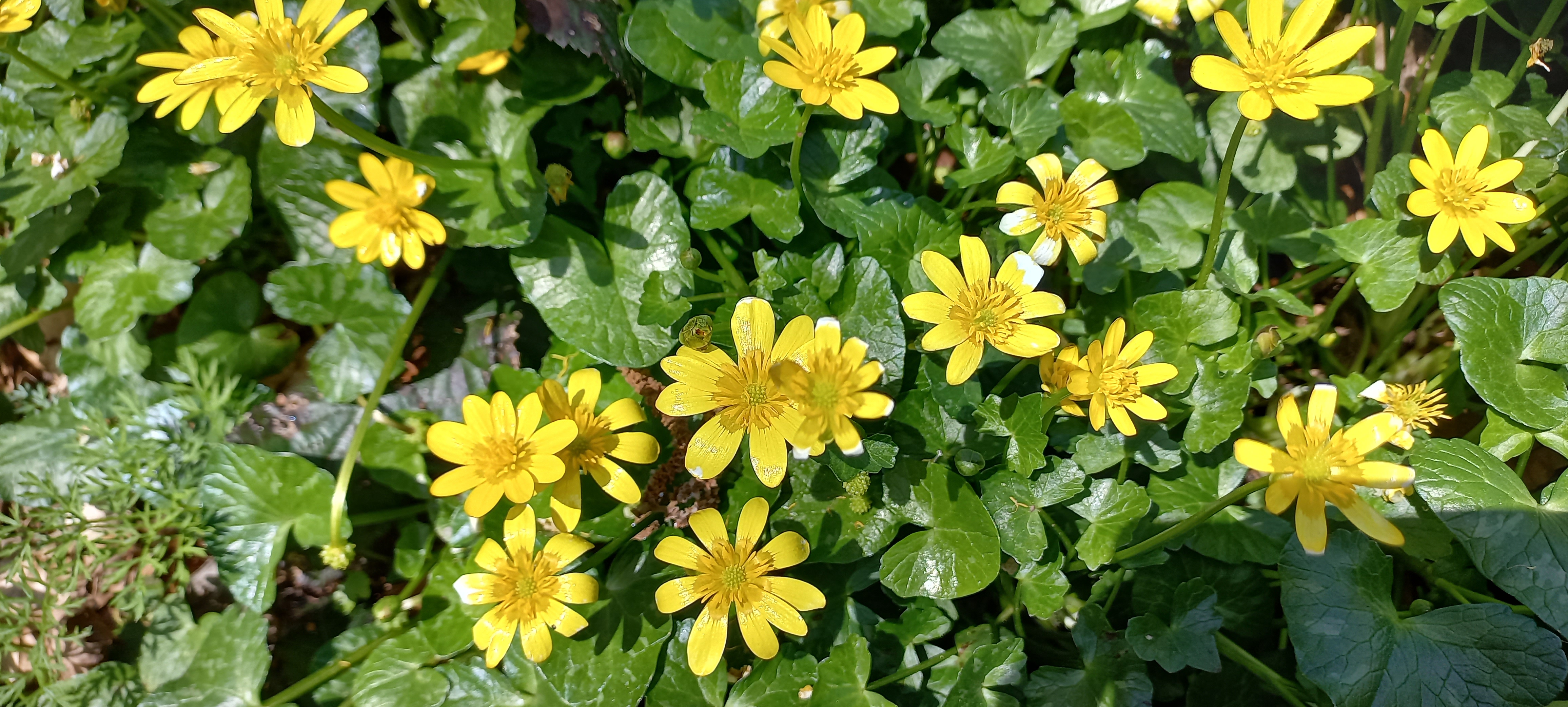 Photo n° 9 de l'avis de Françoise.o fait le 16/04/2023 à 15:18
