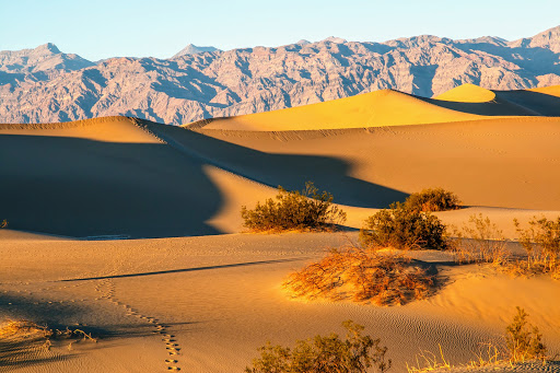 National Park «Death Valley National Park», reviews and photos