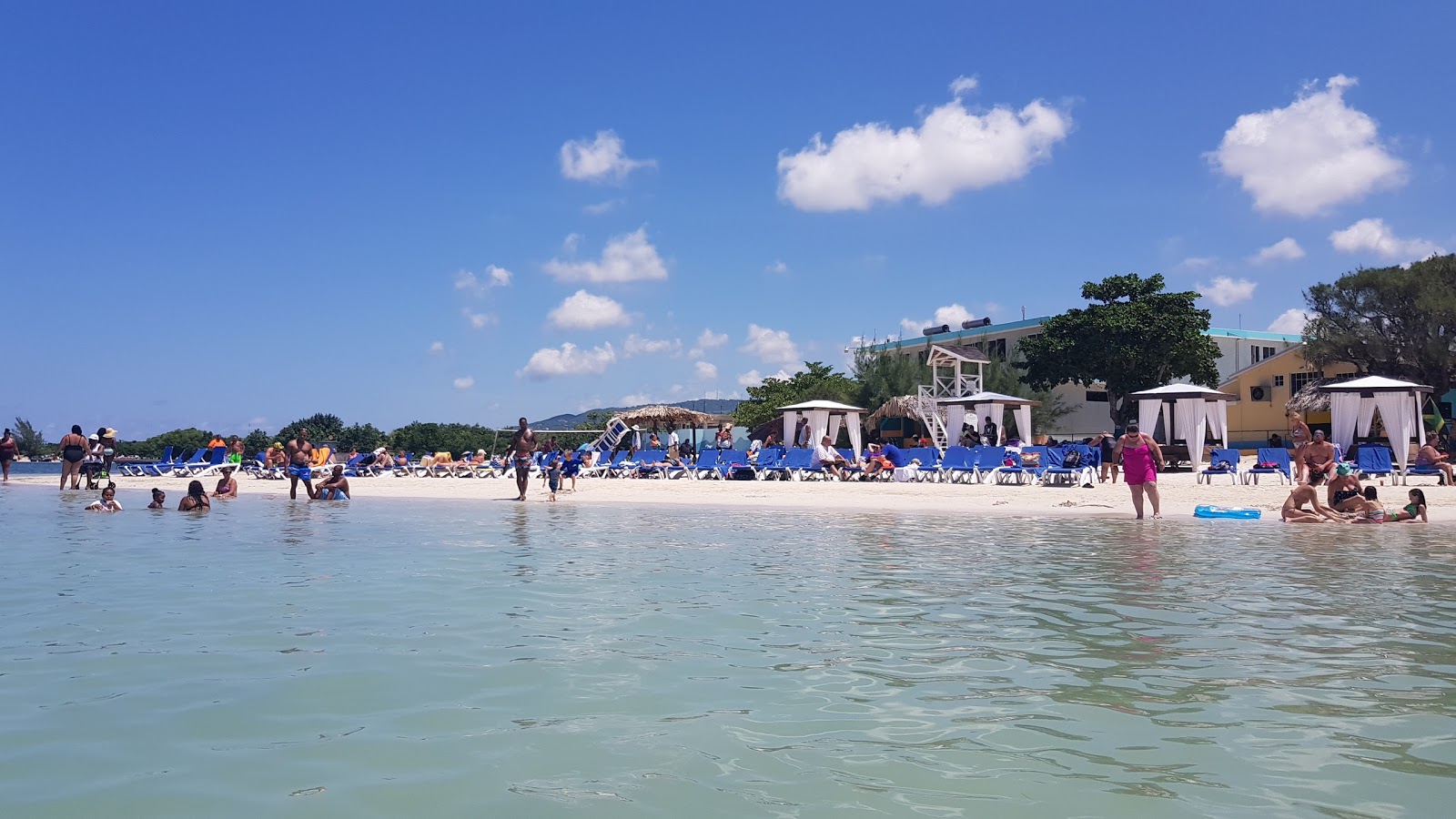 Tropical Bliss'in fotoğrafı çok temiz temizlik seviyesi ile