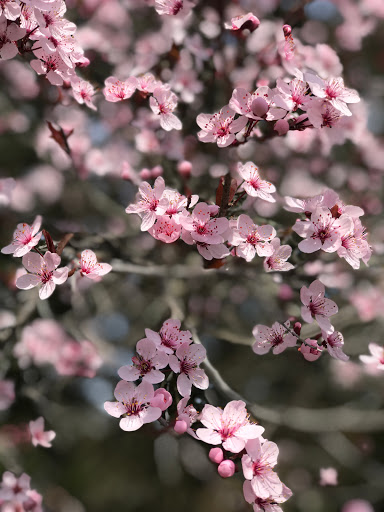 Golf Club «The Tradition Golf Club», reviews and photos, 3800 Prosperity Church Rd, Charlotte, NC 28269, USA