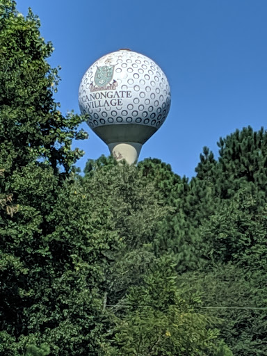 Golf Course «Canongate 1 Golf Club», reviews and photos, 924 Shaw Rd, Sharpsburg, GA 30277, USA