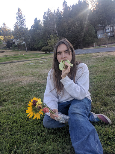 Funeral Home «Sunset Hills Cemetery, Funeral Home & Crematorium», reviews and photos, 4810 Willamette St, Eugene, OR 97405, USA