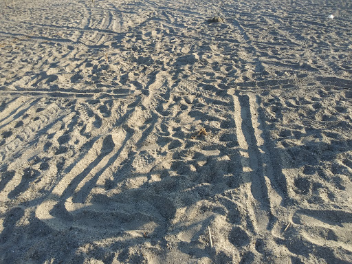 State Park «Woodlawn Beach State Park», reviews and photos, 3580 Lakeshore Rd, Blasdell, NY 14219, USA