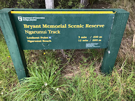Bryant Memorial Scenic Reserve- Ngarunui Track