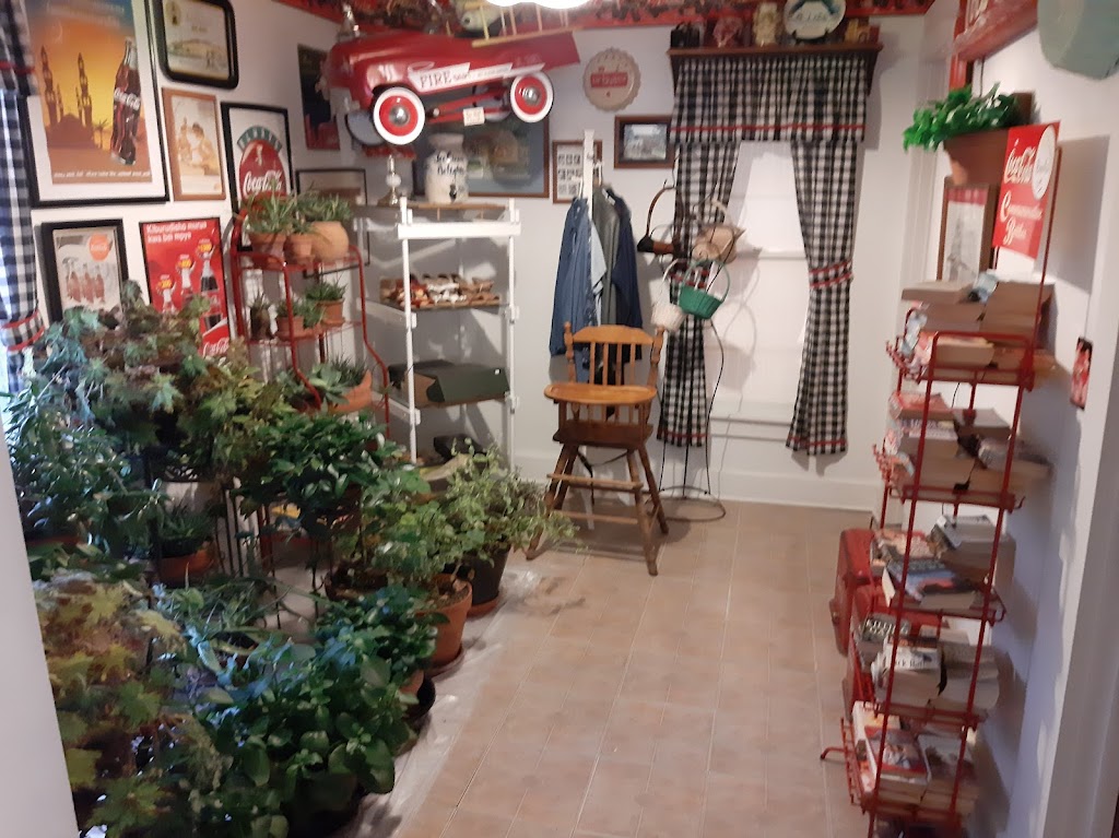 Ice Cream Delights 72632