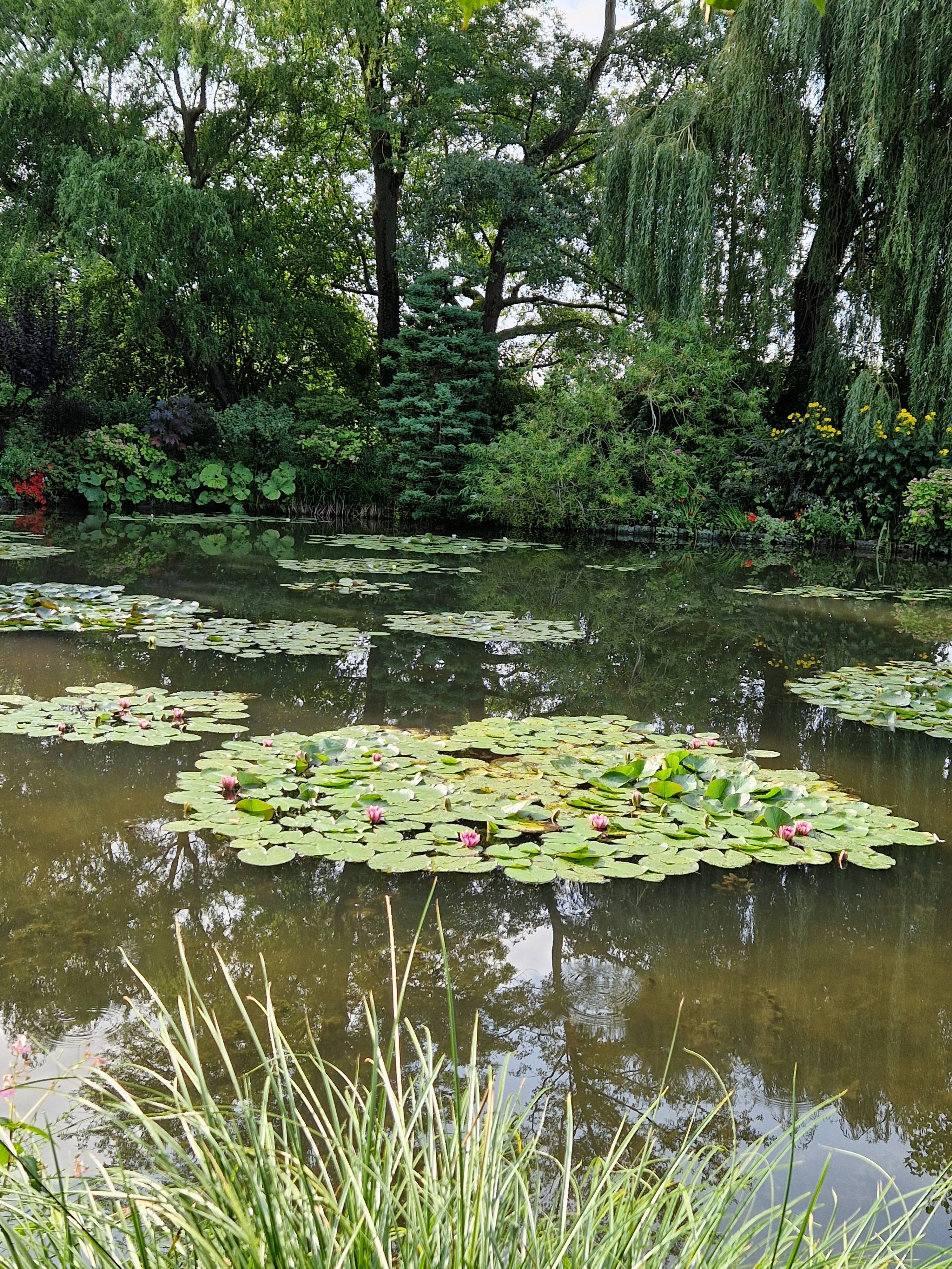 Photo n° 2 de l'avis de Ady.. fait le 31/08/2023 à 14:32