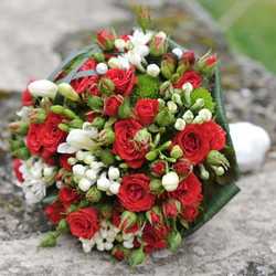 Florist «BunchesDirect», reviews and photos, 7068 NW 50th St, Miami, FL 33166, USA