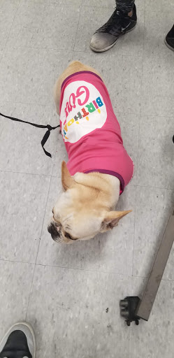 Pet Supply Store «Petco Animal Supplies», reviews and photos, 5151 Gosford Rd, Bakersfield, CA 93313, USA