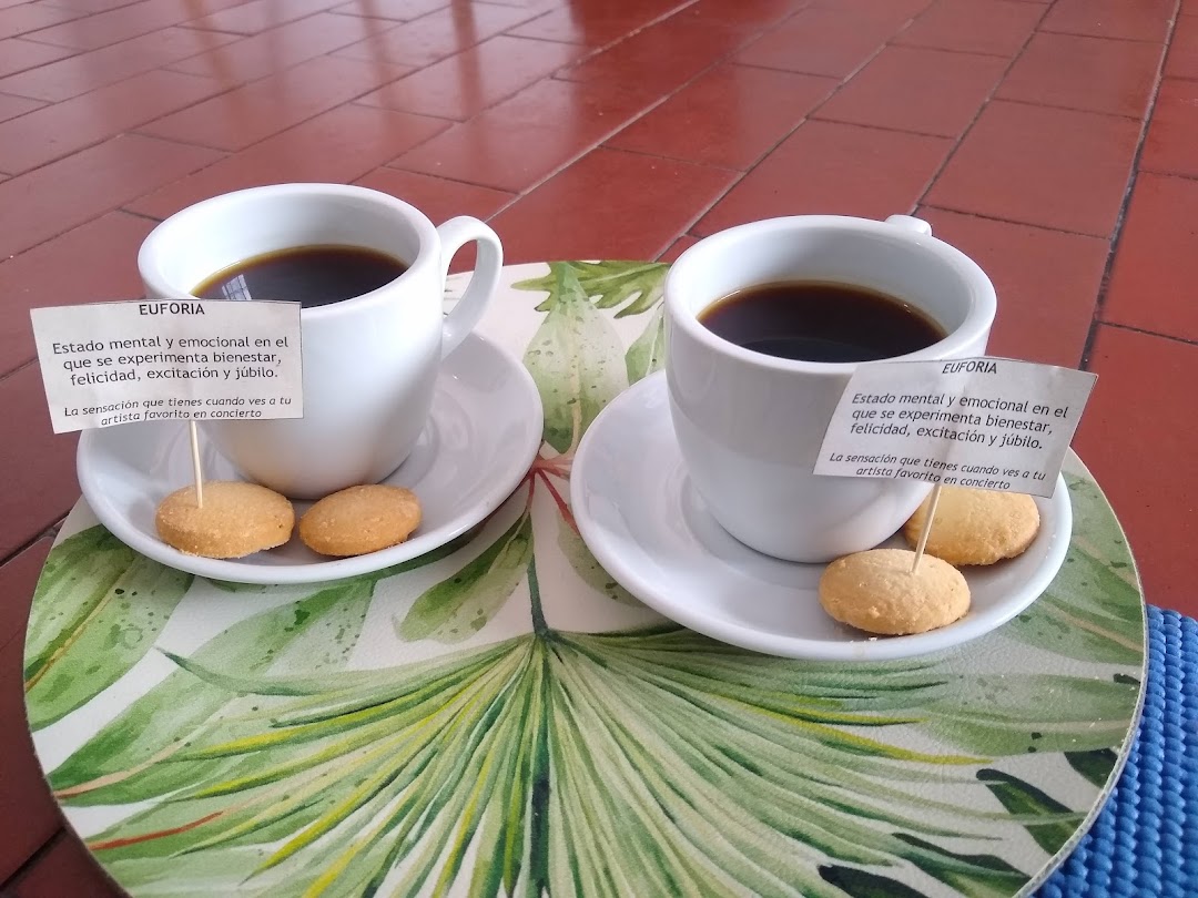 Ciclos Café Terapeutico