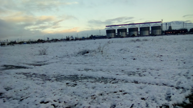 Opinii despre Inmobiliaria Viña Santa Blanca în Rancagua - Tienda de ultramarinos