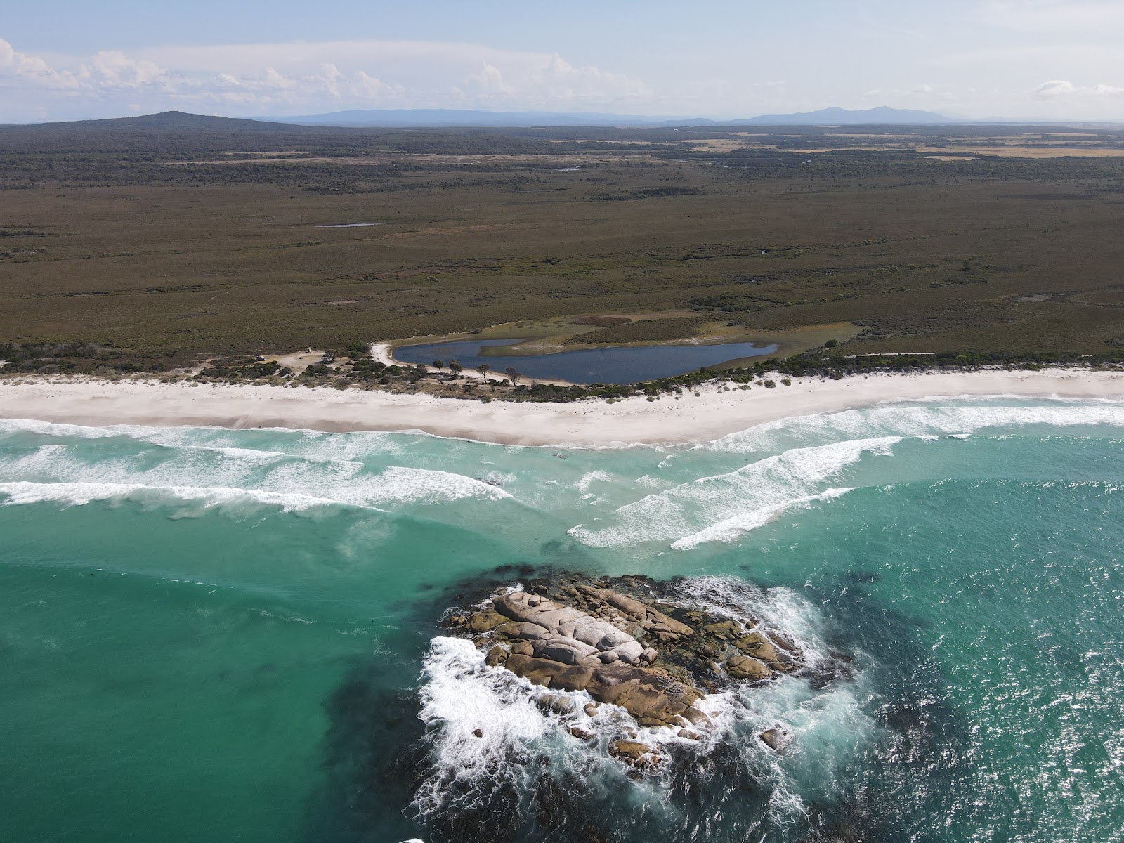 Mount William Beach photo #8