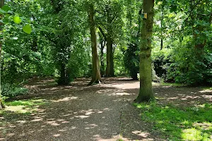 Childwall Woods image