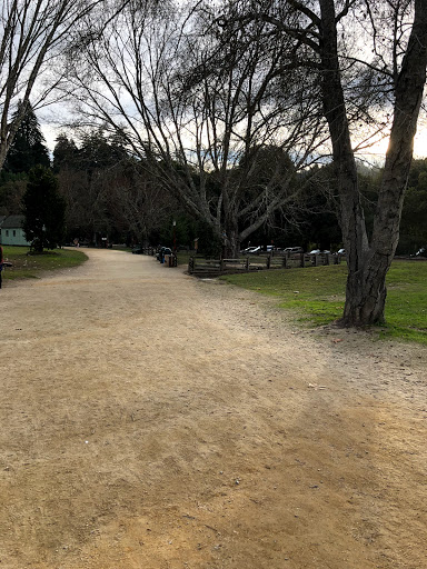 Amusement Park «Roaring Camp Railroads», reviews and photos, 5401 Graham Hill Road, Felton, CA 95018, USA