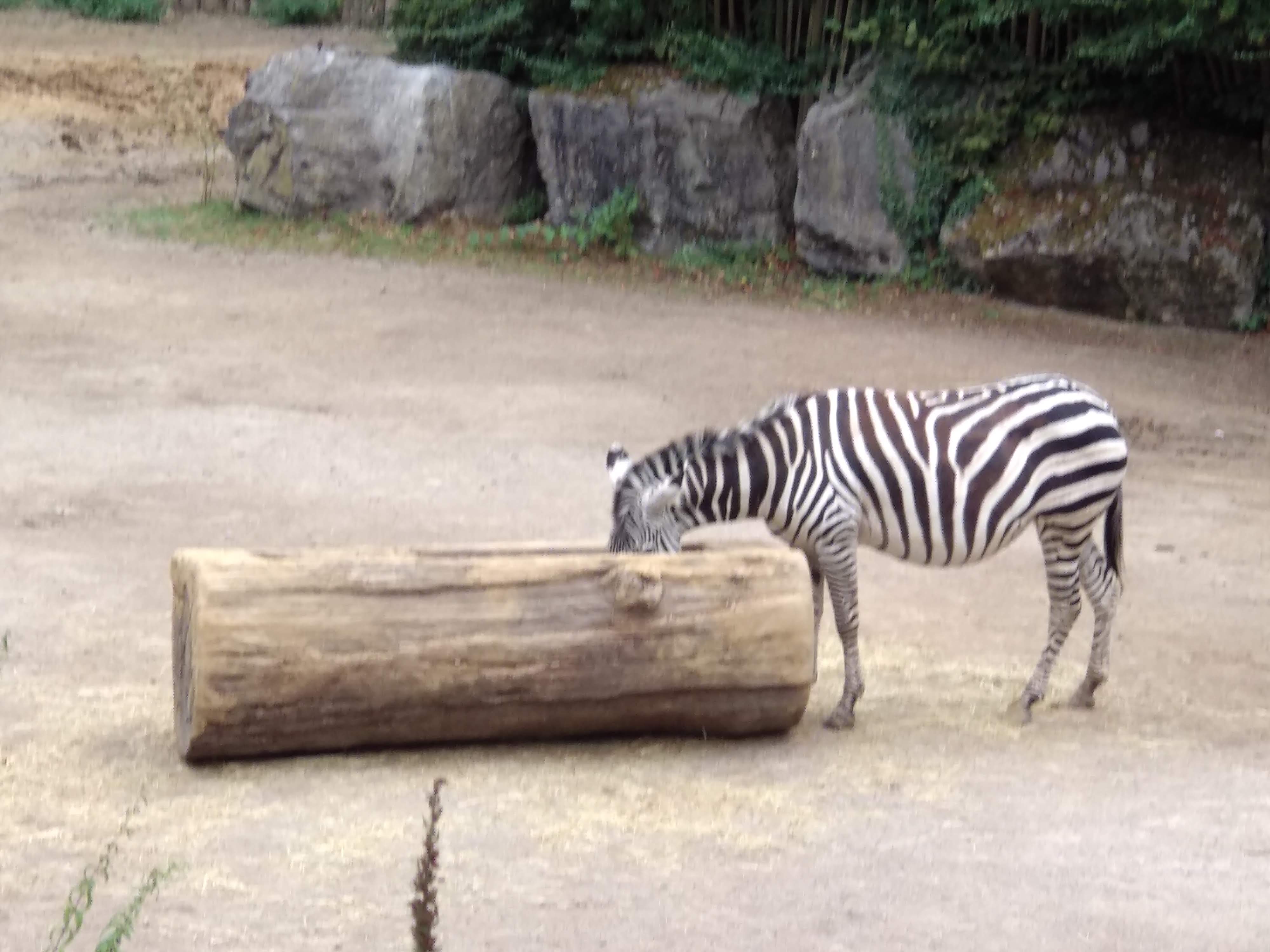 Photo n° 1 de l'avis de Xavier. fait le 10/08/2018 à 16:35