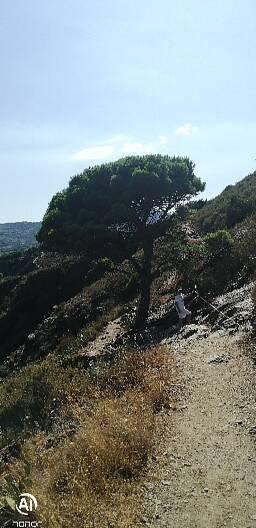 Photo n° 12 de l'avis de S.o fait le 01/08/2022 à 17:22