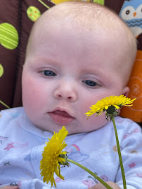 Green Gables Daycare - Photo 2 - Car repair in Portsmouth, VA, Chesapeake