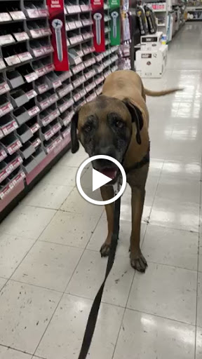 Hardware Store «Pittsburg Ace Hardware», reviews and photos, 125 E Leland Rd, Pittsburg, CA 94565, USA