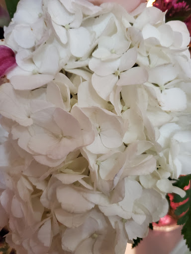 Florist «Domenic Graziano Flowers», reviews and photos, 60 James Way #3, Southampton, PA 18966, USA