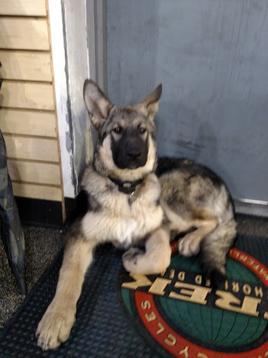 Bicycle Repair Shop «Ridgewood Cycle Shop», reviews and photos, 35 N Broad St, Ridgewood, NJ 07450, USA