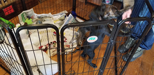 Winery «Six Mile Creek Vineyard», reviews and photos, 1551 Slaterville Rd, Ithaca, NY 14850, USA