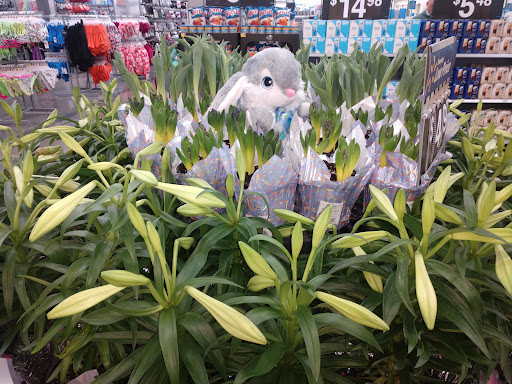 Department Store «Walmart Supercenter», reviews and photos, 1882 Holly St, Blair, NE 68008, USA