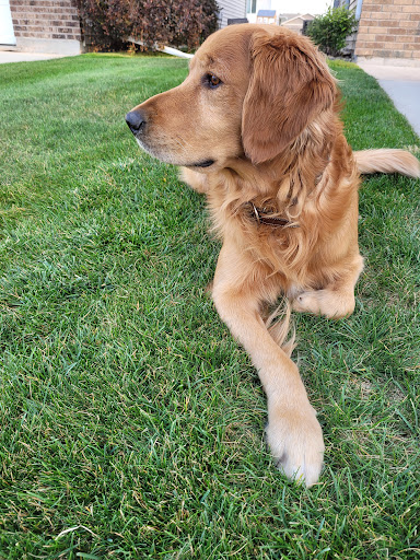 Sheyenne Valley Veterinary Services