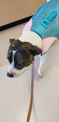 Pet Supply Store «Petco Animal Supplies», reviews and photos, 891 NE D St, Grants Pass, OR 97526, USA