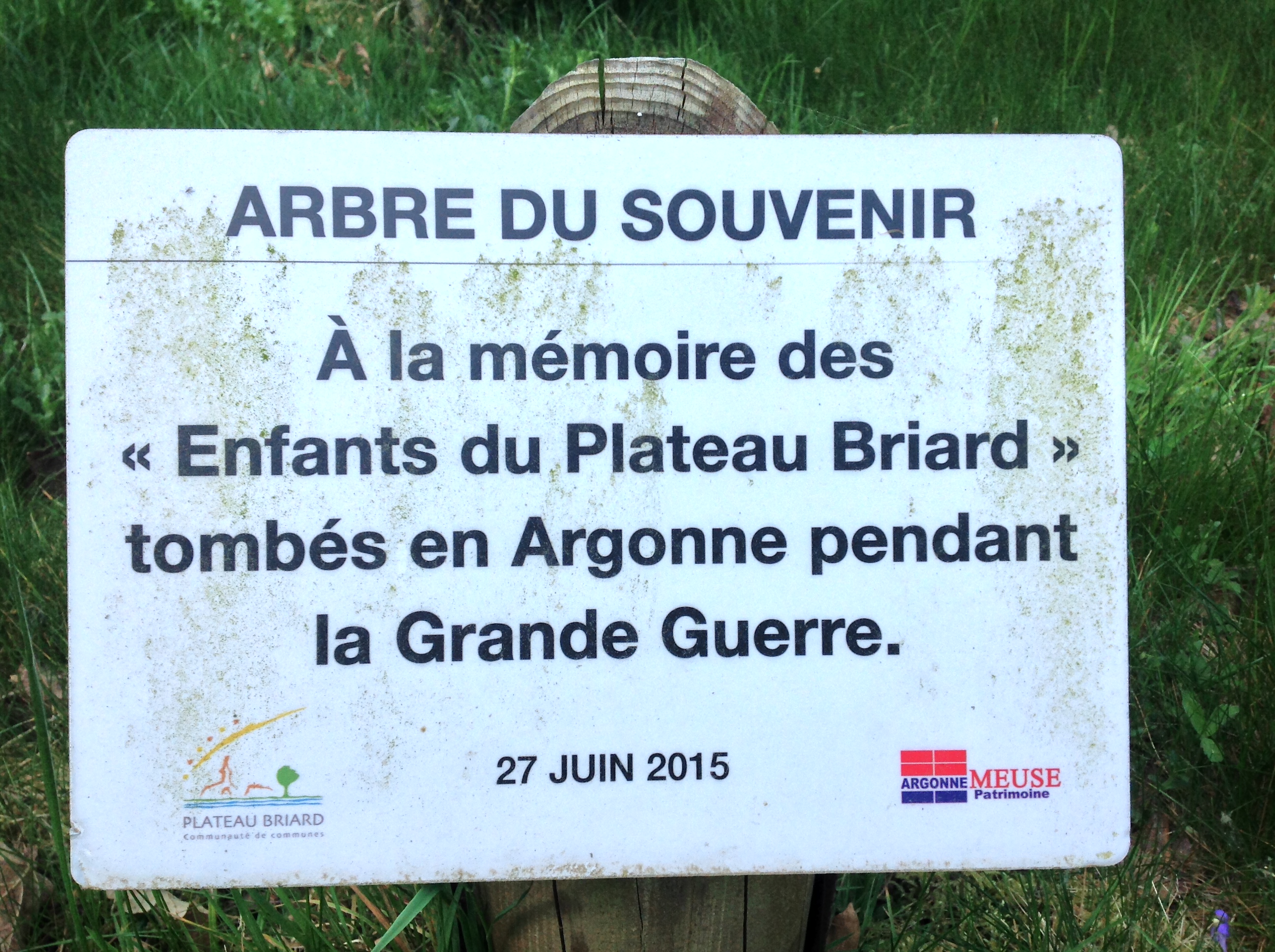 Photo n° 7 de l'avis de David.O fait le 14/06/2018 à 11:15