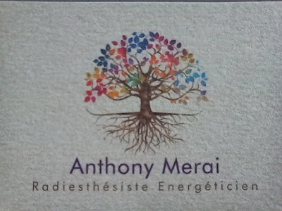 Anthony Merai Magnétiseur Radiesthésiste à Québriac