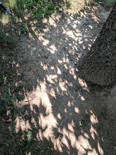 Park «Owl Creek Park», reviews and photos, 9751 Concord Rd, Brentwood, TN 37027, USA