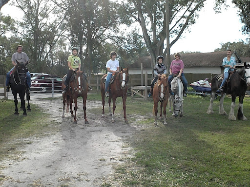 Horse riding lessons Tampa