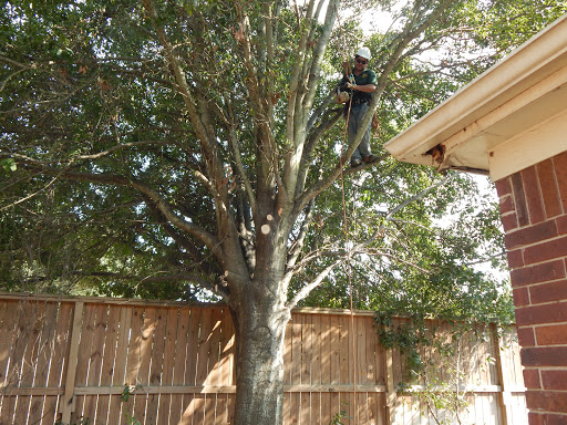 Leon Tree Service