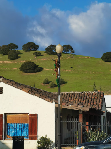 Coffee Shop «Devout Coffee», reviews and photos, 37323 Niles Blvd, Fremont, CA 94536, USA