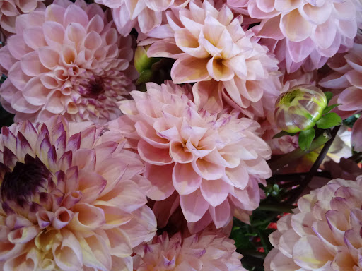 Grocery Store «New Seasons Market Mountain Park», reviews and photos, 3 Monroe Pkwy, Lake Oswego, OR 97035, USA