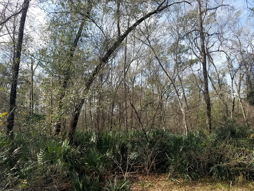 Book Store «Lone Star College Kingwood Bookstore», reviews and photos, 20000 Kingwood Dr, Kingwood, TX 77339, USA